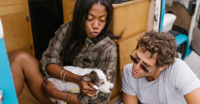A young couple sits inside a campervan, lovingly interacting with their pet dog during a travel adventure.